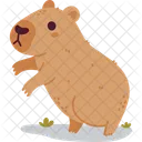 Capybara Rodent Animal Icon