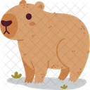 Capybara Rodent Cute Icon