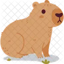 Capybara Rodent Cute Icon