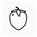 Caqui Frutas Fruite Icono