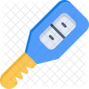 Car Key  Icon
