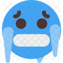 Cara Fria Icon