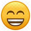 Cara radiante con ojos sonrientes  Icono