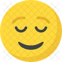 Feliz Sorprendido Emoticon Icono