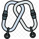 Carabineer Sport Equipment Sports Icon