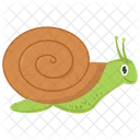 Caracol  Icono