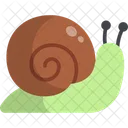 Caracol Animal Molusco Icono