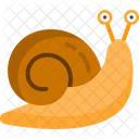 Caracol  Icono