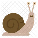Caracol Animal Reino Icono