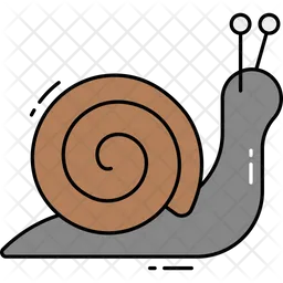 Caracol  Icono