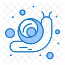 Caracol  Icon