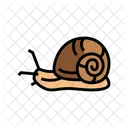 Caracol  Icono