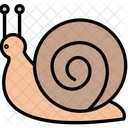 Caracol Animal Animales Icono