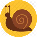 Caracol Animal Animales Icon