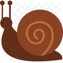 Caracol Animal Animales Icono