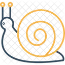 Caracol Animal Animales Icono