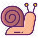 Caracol  Icono