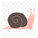 Caracol Clipart Concha Icon