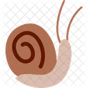 Caracol Primavera Naturaleza Icono