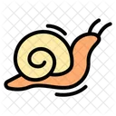 Caracol Animal Shell Icono