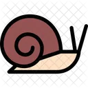 Caracol Mascota Animales Icono