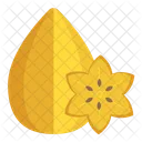 Carambola Star Fruit Icon