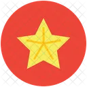 Carambola Slice Star Icon