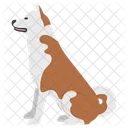 Razze Di Cani Specie Di Cani Cane Icon