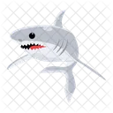Carcharodon Carcharias White Shark Shark Fish Icon