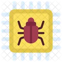 Card Warning  Icon