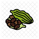 Cardamom Pods Ayurvedic Icon