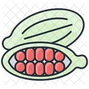 Cardamon  Icon