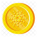 Cardano Gold Coin  Icon