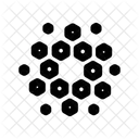 Cardano  Icon