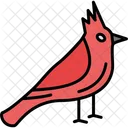 Cardenal  Icono