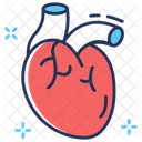 Cardiac Organ Heart Icon