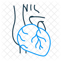Cardiac  Icon