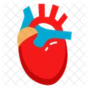 Cardiac Organ Circulatory Organ Pumping Organ Icon