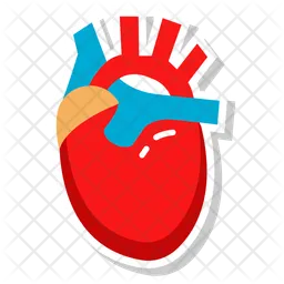 Cardiac organ  Icon