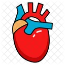 Cardiac Organ Circulatory Organ Pumping Organ Icon