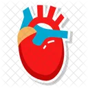 Cardiac Organ Circulatory Organ Pumping Organ Icon