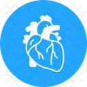 Cardiac Technology  Icon