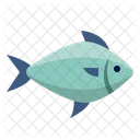 Cardina Fish Fish Animal Icon