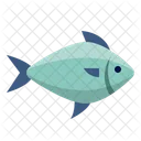 Cardina Fish  Icon