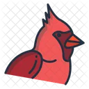 Cardinal Birds Bird Icon