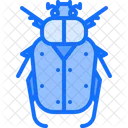 Cardinal Beetle Bug Icon
