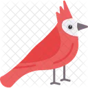 Cardinal Bird Wildlife Icon