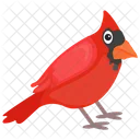 Cardinal Bird Red Bird Feather Creature Icon