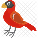Bird Cardinal Bird Feather Creature Icon