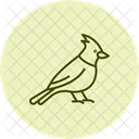Cardinal Bird Red Icon